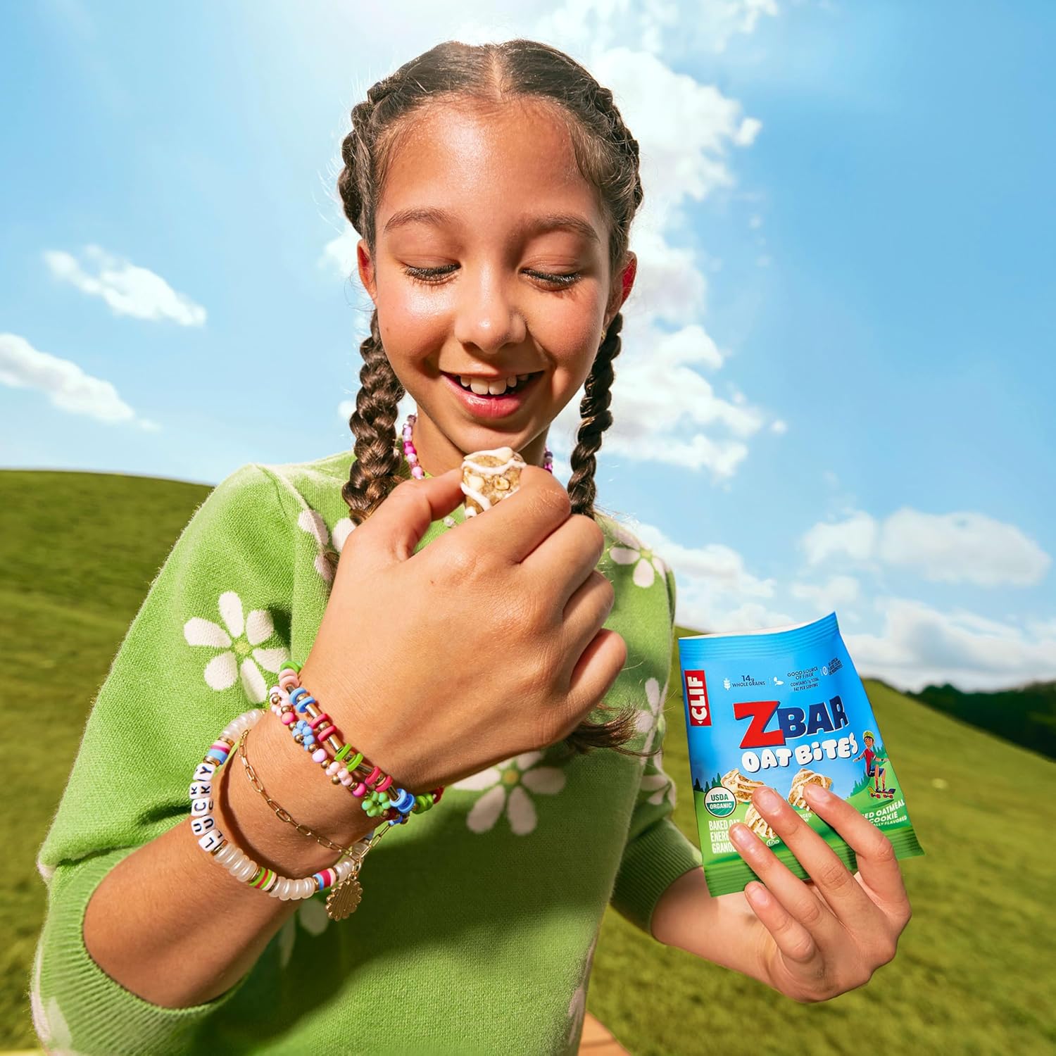 Zbar Oat Bites - Iced Oatmeal Cookie - Portable Organic Snack for Weekend Hikes and Park Outings - 6 Single-Serve Packs