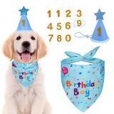 Pawty Pals Dog Birthday Hat – Adjustable Elastic Fit for Comfortable Wear During Kids and Pet Playtime