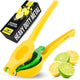 01 - Yellow & Green