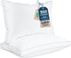 White - Standard (Pack of 2)